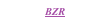 Продавец BZR