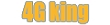 Продавец 4G king