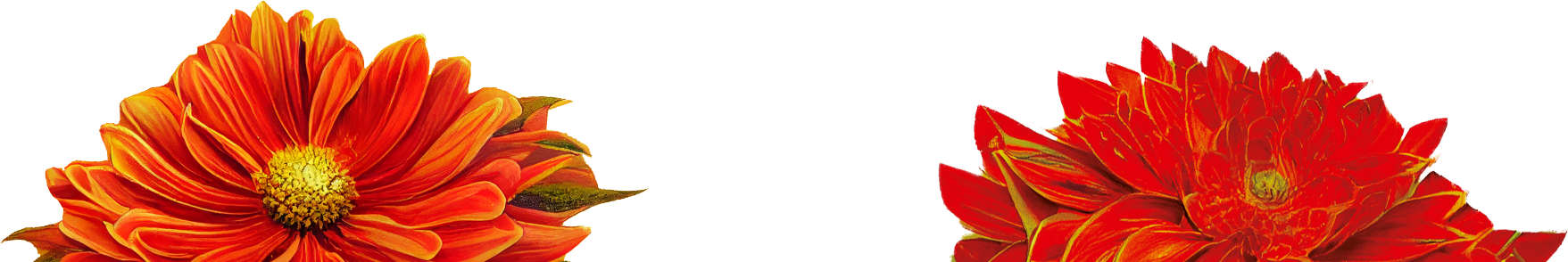 final image