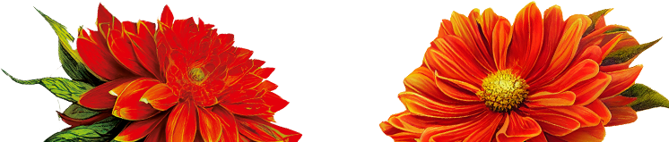 final image
