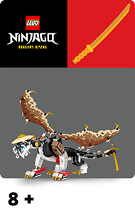 LEGO® NINJAGO®