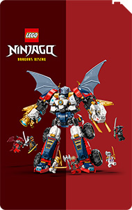 LEGO® NINJAGO®