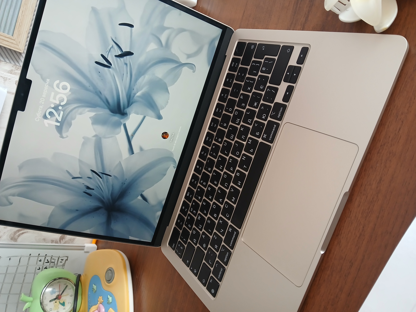 Ноутбук Apple MacBook Air 13