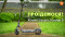Фото № 23 Електросамокат Xiaomi Electric Scooter 5 BHR9618GL